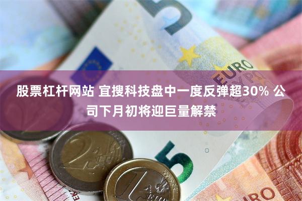 股票杠杆网站 宜搜科技盘中一度反弹超30% 公司下月初将迎巨量解禁