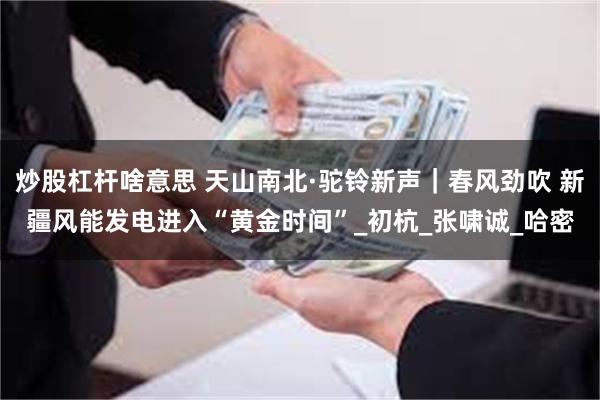 炒股杠杆啥意思 天山南北·驼铃新声｜春风劲吹 新疆风能发电进入“黄金时间”_初杭_张啸诚_哈密