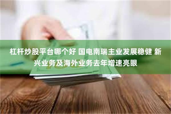 杠杆炒股平台哪个好 国电南瑞主业发展稳健 新兴业务及海外业务去年增速亮眼