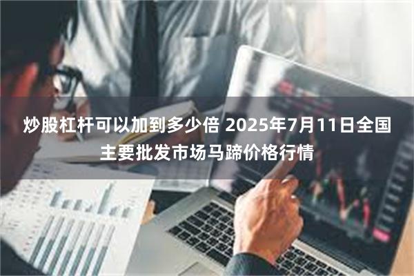 炒股杠杆可以加到多少倍 2025年7月11日全国主要批发市场马蹄价格行情