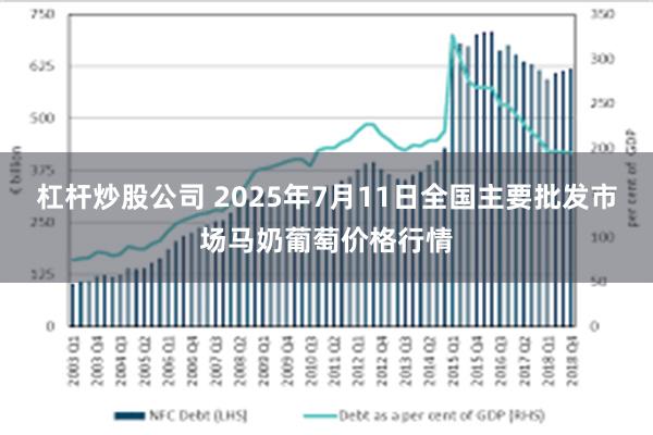 杠杆炒股公司 2025年7月11日全国主要批发市场马奶葡萄价格行情