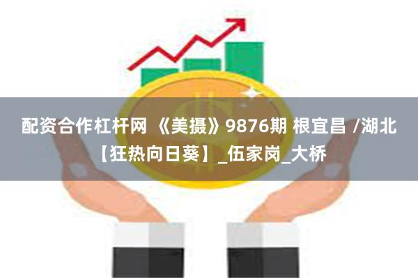配资合作杠杆网 《美摄》9876期 根宜昌 /湖北【狂热向日葵】_伍家岗_大桥